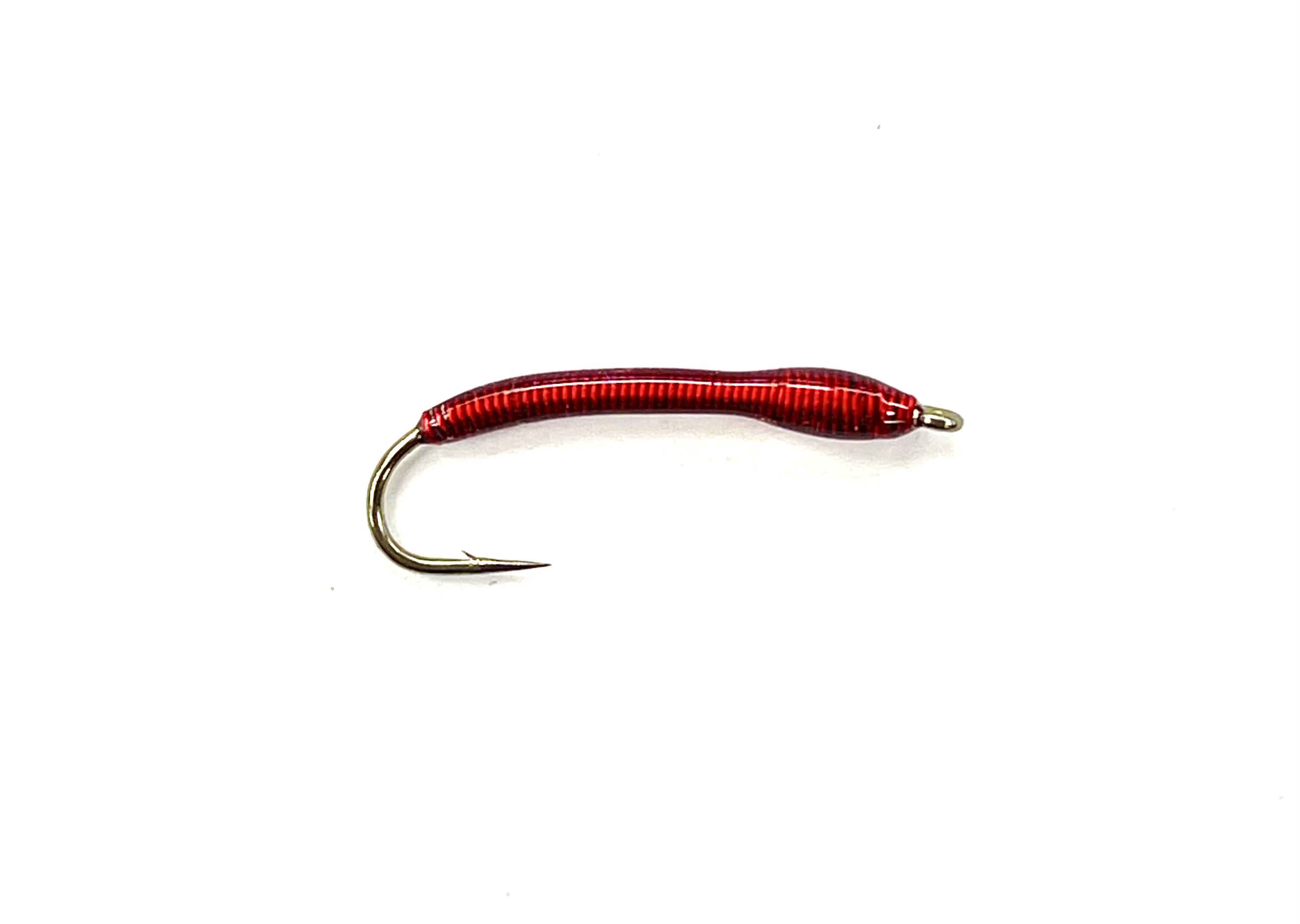 Red Wire Blood Worm